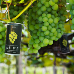 �����W���[�X